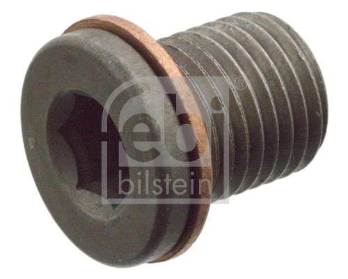 Screw Plug, oil sump
